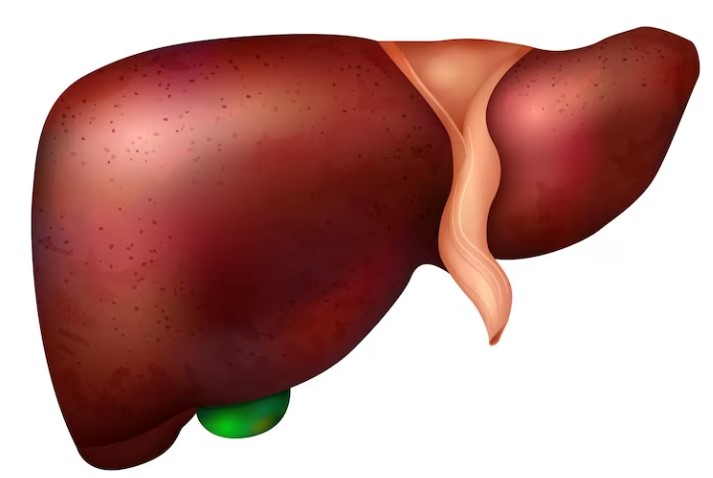 liver cancer